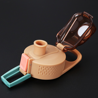 Insulated Steel bottle